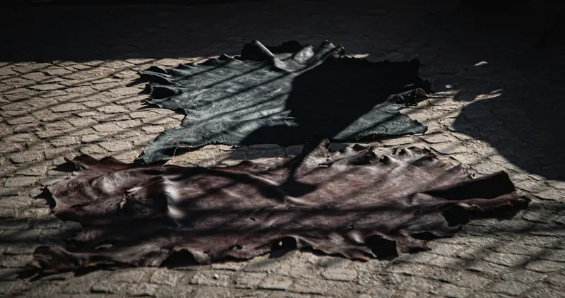 Dark hides laid out flat on a cobbled floor